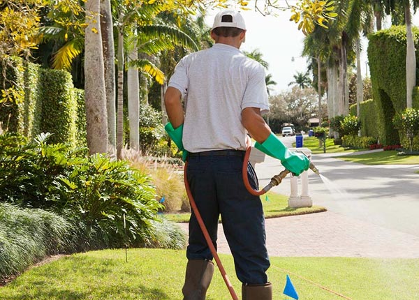 About Burkes Garden VA Pest Control Pros
